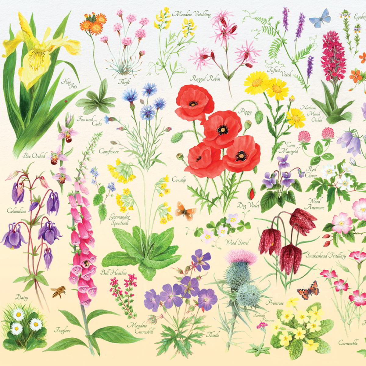 House of Puzzles 1000pc - Wildflowers Puzzle