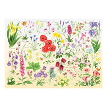 Colorful illustration of various flowers on a white background