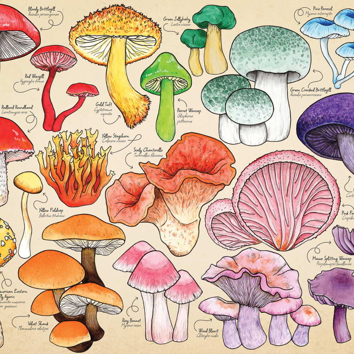 House of Puzzles 1000pc - Mushroom Mania Puzzle