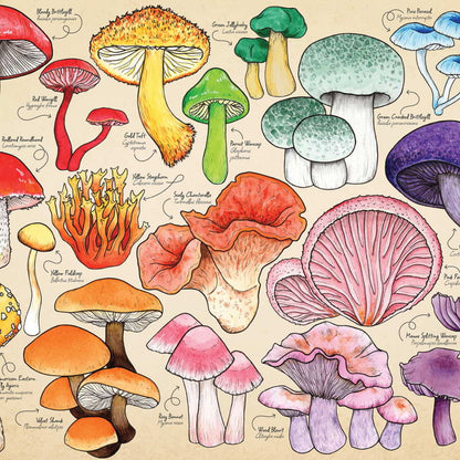 House of Puzzles 1000pc - Mushroom Mania Puzzle