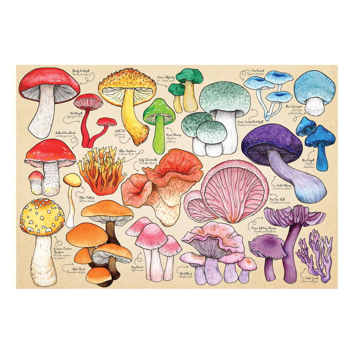House of Puzzles 1000pc - Mushroom Mania Puzzle