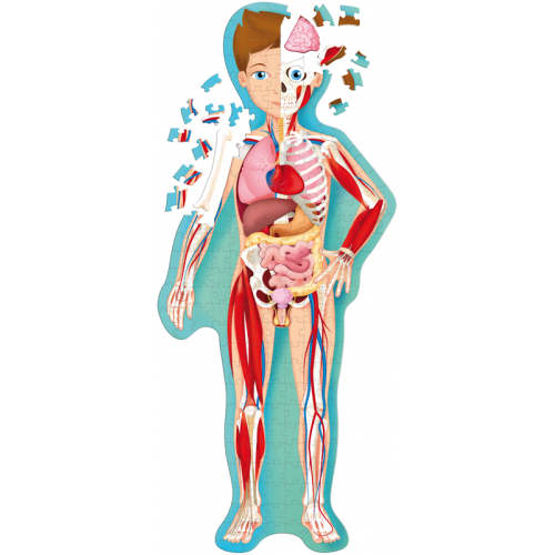 Sassi Travel, Learn and Explore - The Human Body 205 pcs