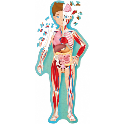 Sassi Travel, Learn and Explore - The Human Body 205 pcs