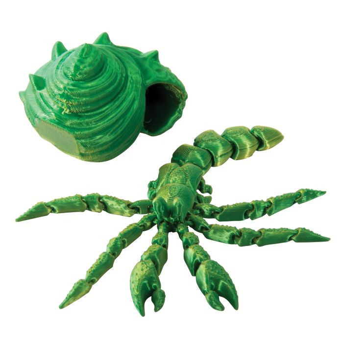 Discovery Zone - 3D Sensory Sea Life - Hermit Crab