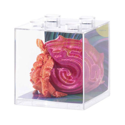 Discovery Zone - 3D Sensory Sea Life - Hermit Crab