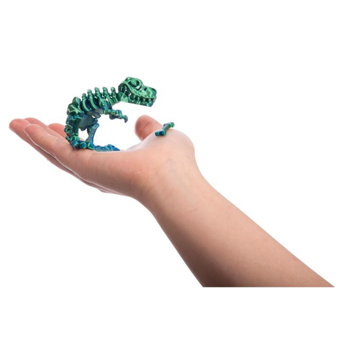 Discovery Zone - 3D Sensory T-Rex