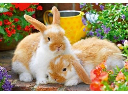 Ravensburger 2x12pc - Guinea Pigs + Bunnies Puzzle
