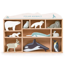 Tender Leaf Toys - Polar Animals with Display Shelf