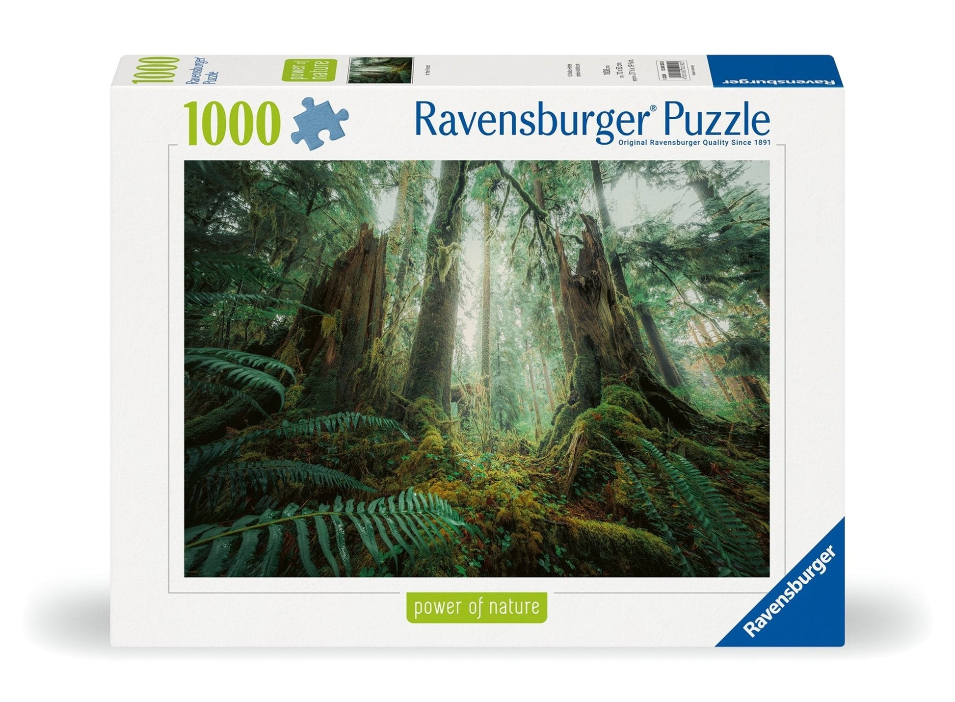 Ravensburger In the Forest 1000-piece jigsaw puzzle featuring a peaceful woodland with towering trees and lush green ferns