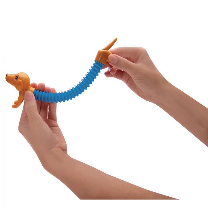 IS GIFT - Springy Sausage Dogs (Assorted)