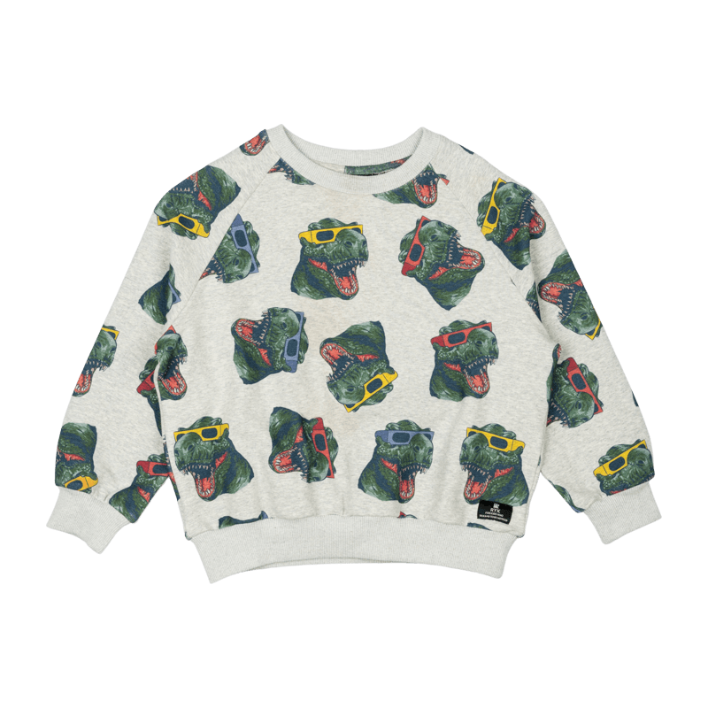 Shady Sweatshirt - Teen