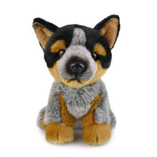 Korimco Lil Friends - Blue Heeler Plush 18cm