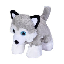 Wild Republic - Hug'Ems Mini Husky 18cm