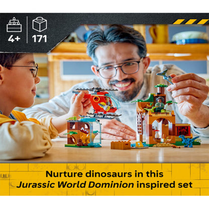 LEGO Pteranodon build from the 77981 dinosaur rescue set shown with wings outstretched