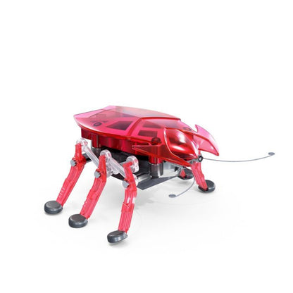 HEXBUG Beetle