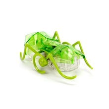 HEXBUG Micro Ant