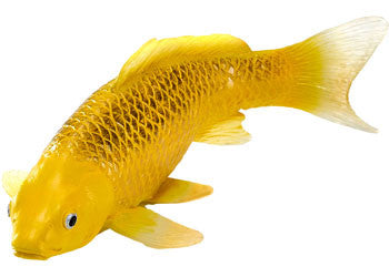 Mojo - Koi Carp - Kin Matsuba Koi Figurine
