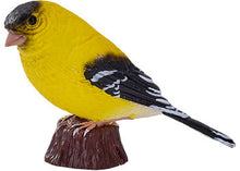 Mojo - American Goldfinch Figurine
