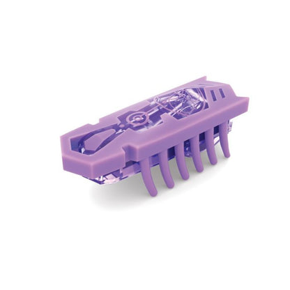 HEXBUG - Flash Nano 5 Pack, Assorted Colours