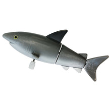 The Australian Collection Wind Up Aussie Sharks – Assorted