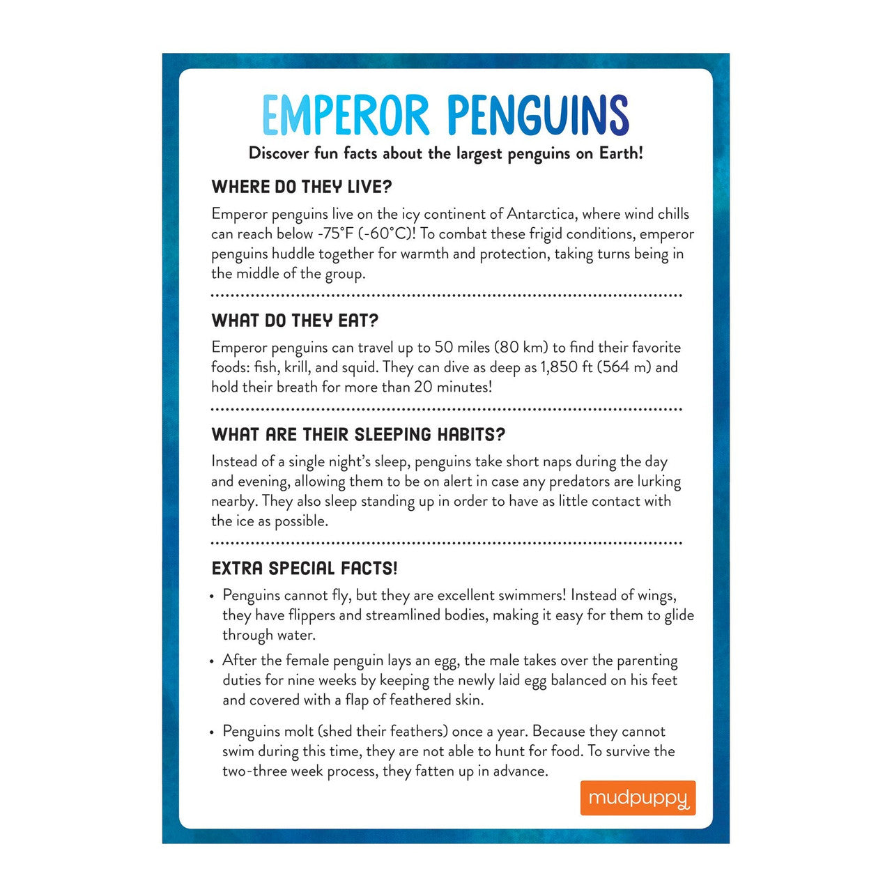 Mudpuppy - Penguin's Iceberg Adventure Game