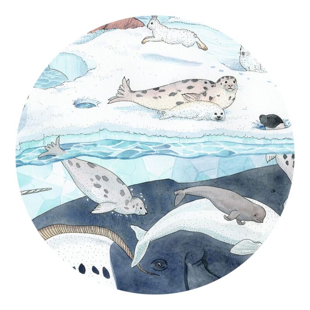 tree-shaped silhouette box for Djeco Polar Softness 54-piece Arctic animal jigsaw puzzle
