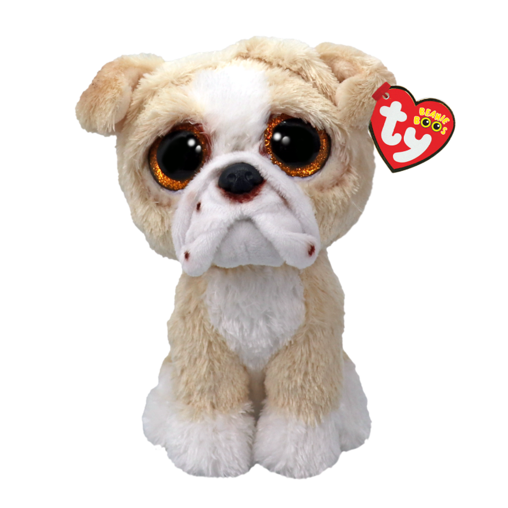 Pooch the Tan English Bulldog Ty Beanie Boo plush toy shown front-on against a white studio background