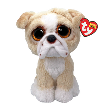 Pooch the Tan English Bulldog Ty Beanie Boo plush toy shown front-on against a white studio background