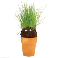 Mrs Green - Pot Head