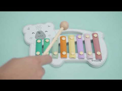 PolarB - Pastel Metal Xylophone | Musical Instrument for Toddlers