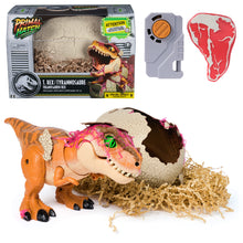 Primal Hatch Jurassic World interactive hatching T Rex dinosaur toy with egg