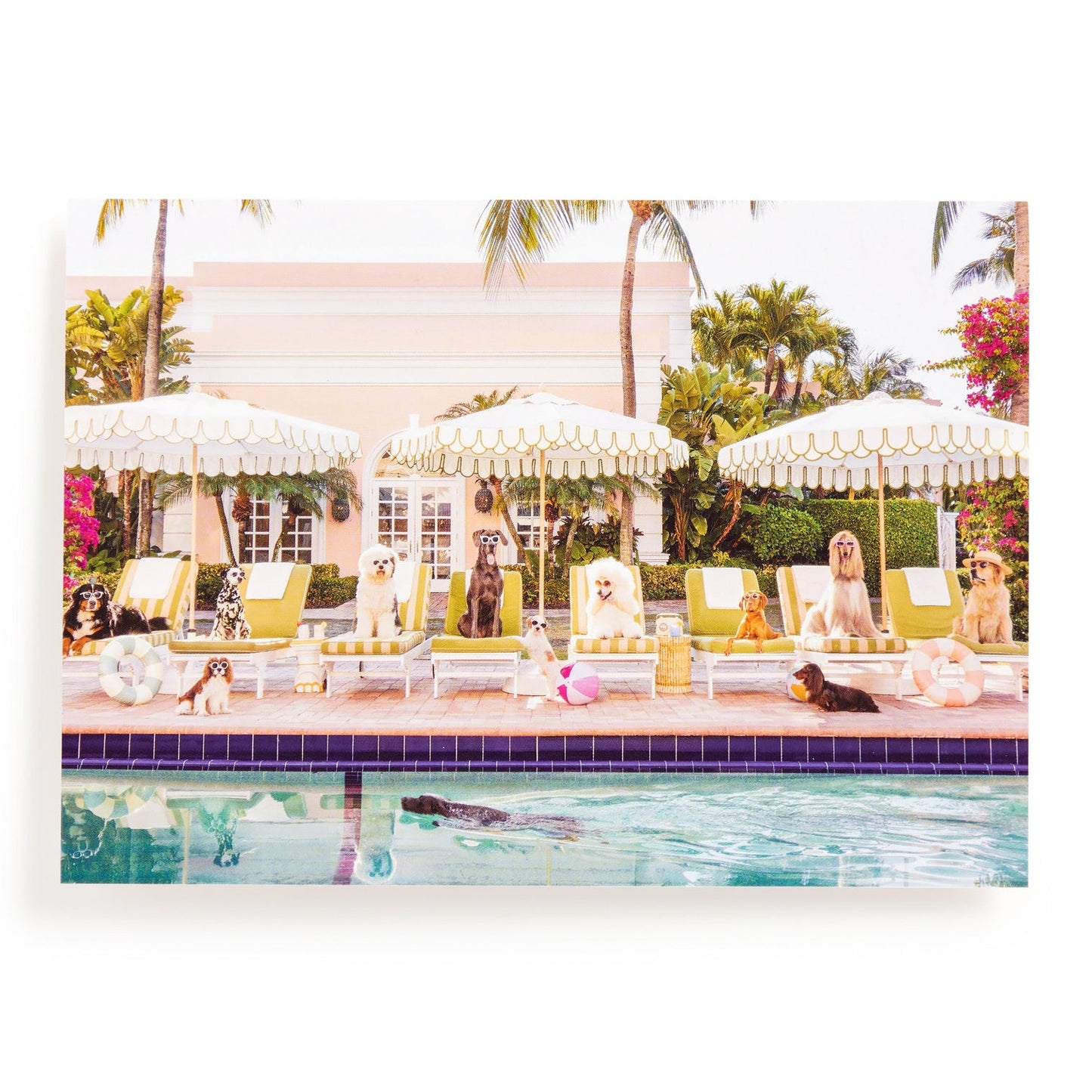 Galison 1000pc - Gray Malin Palm Beach Pool Day Puzzle