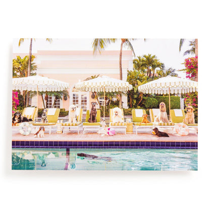 Galison 1000pc - Gray Malin Palm Beach Pool Day Puzzle