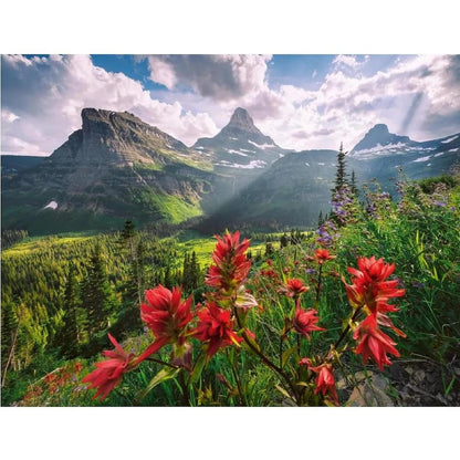 Ravensburger Pristine Mountains 2000 piece puzzle artwork featuring alpine peaks, forest and wildflowers