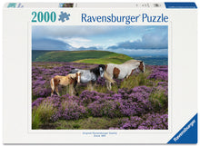 Ravensburger 2000pc Wild Horses in the Heather Puzzle product image 1