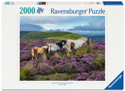 Ravensburger 2000pc Wild Horses in the Heather Puzzle product image 1