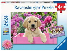 Ravensburger 2x24pc - Me and My Pal Puzzle