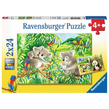 Ravensburger 2x24pc - Sweet Koalas And Pandas Puzzle