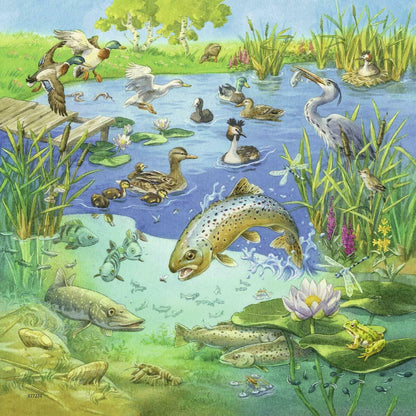 Ravensburger 3x49pc - Animals in their Habitats Puzzle