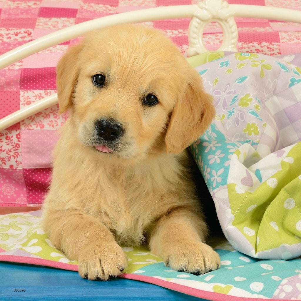 Ravensburger 3x49pc - Cute Puppy Dogs Puzzle
