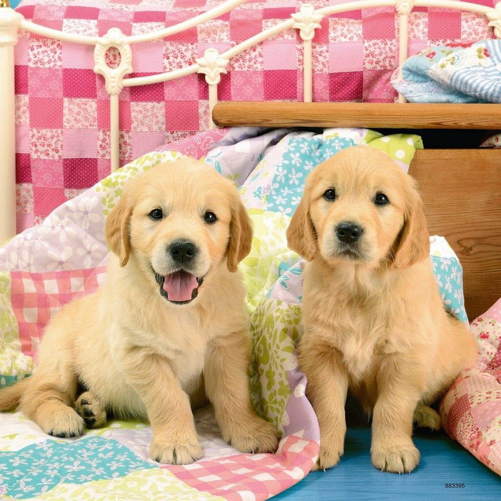 Ravensburger 3x49pc - Cute Puppy Dogs Puzzle