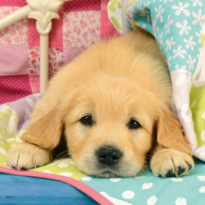 Ravensburger 3x49pc - Cute Puppy Dogs Puzzle