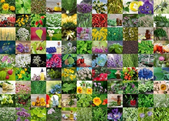 Ravensburger 1000pc - 99 Herbs and Spices Puzzle
