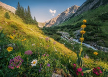 Ravensburger 1000pc - Magical Valley Puzzle