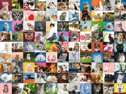 Ravensburger 1500pc - 99 Cats Puzzle