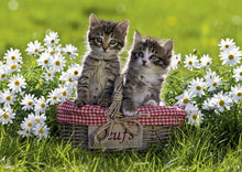 Ravensburger 1000pc - Picnic in the Meadow Puzzle