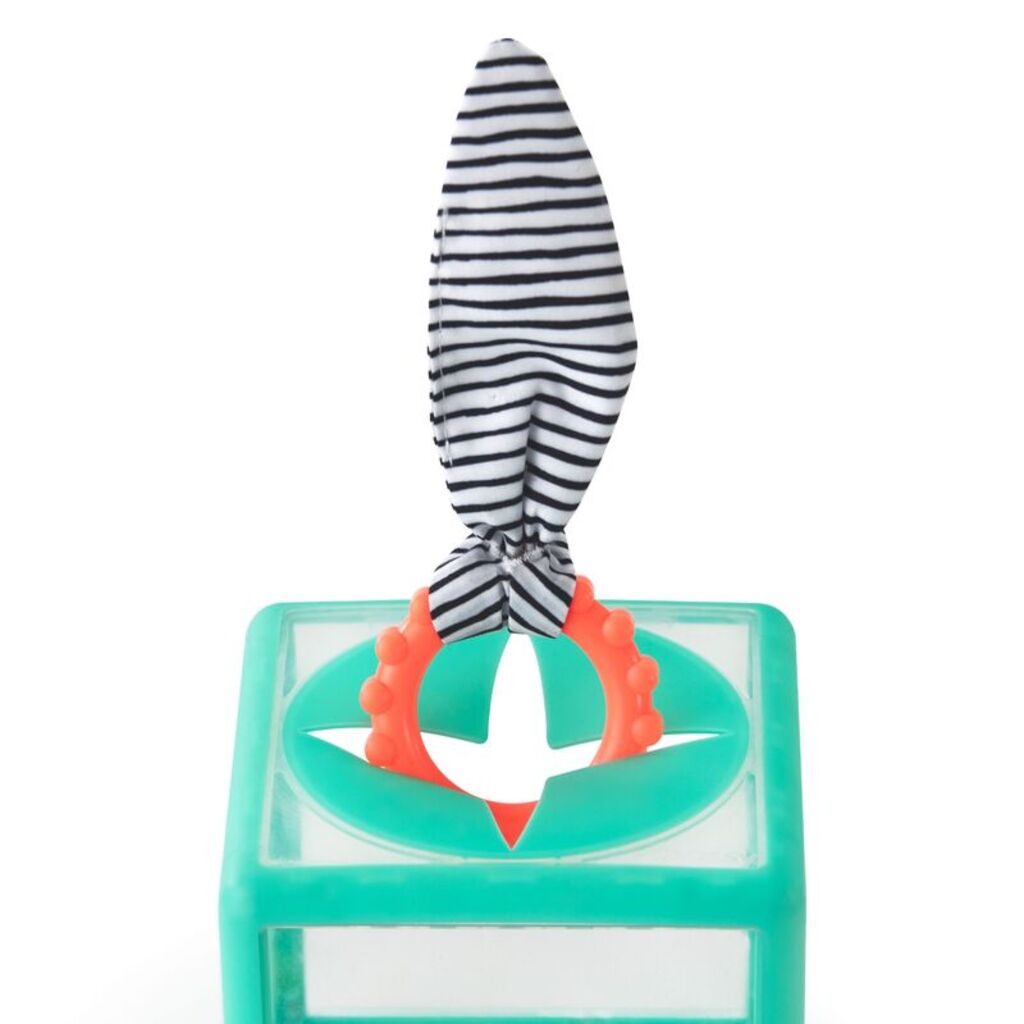Sassy Baby - Rainbow Ring Drop