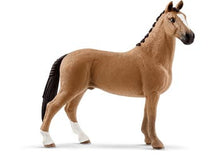 Schleich Horses - Hanoverian Gelding 011764