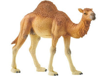 Schleich - Dromedary**shop wear**