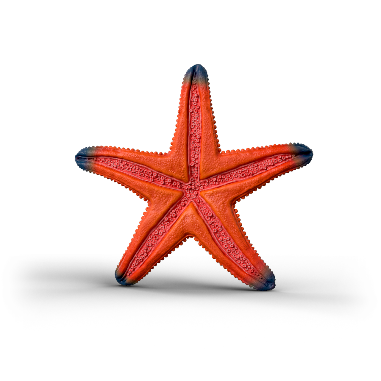 Schleich Color Changing Starfish 14902 realistic Wild Life ocean animal figure with temperature-activated colour-changing feature